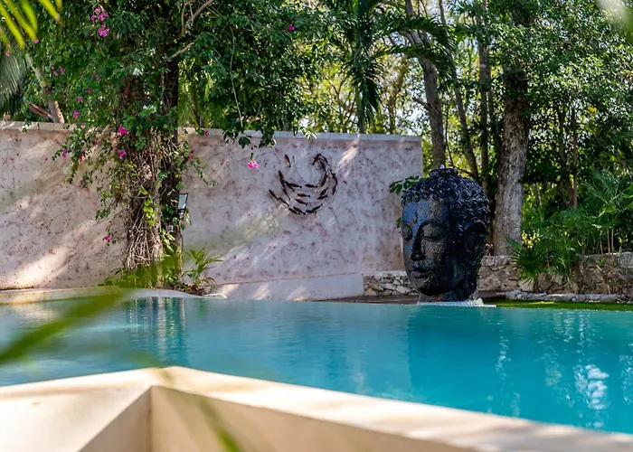 Luxury With Private Pool In Playacar Villa