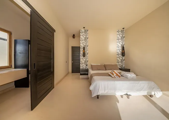 Villa Luxury With Private Pool In Playacar *