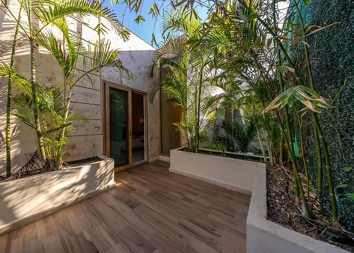 Luxury With Private Pool In Playacar