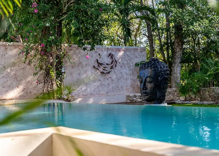 Villa Luxury With Private Pool In Playacar